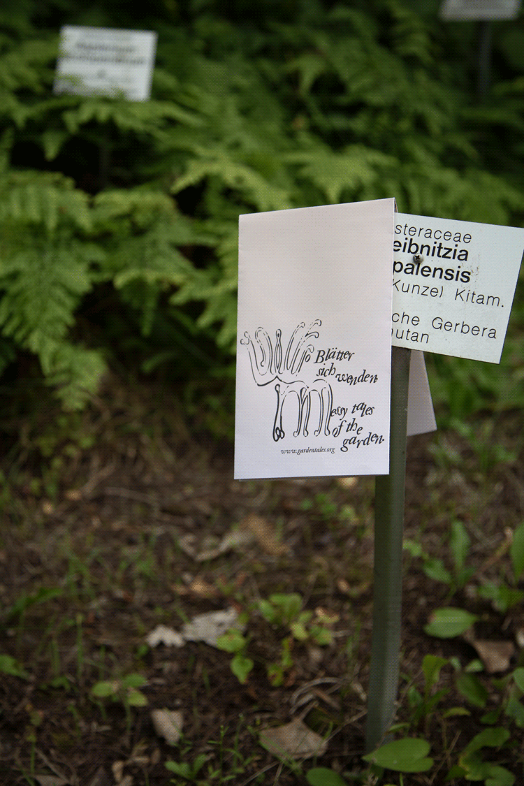 Pflanzenettiket eines botanischen Gartens auf dem ein Blatt Papier mit alternativer Pflanzenbeschreibung angebracht ist